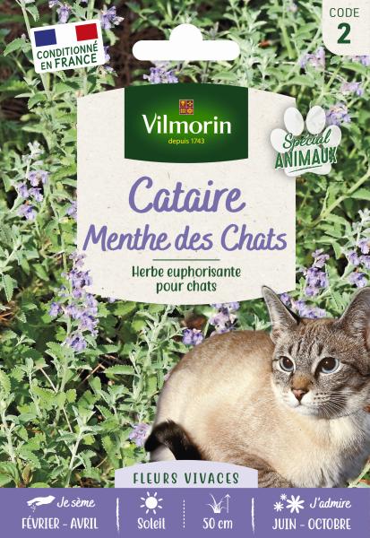 Pour nos animaux - Cataire "Menthe des Chats" (Nepeta cataria) - Grand Modèle - PACKAGING_RECTO